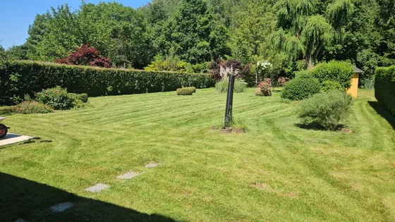 Entretien parcs & jardins